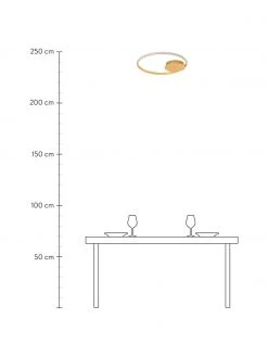 Dimmbare LED-Deckenleuchte Fuline in Gold, Ø 50 x H 5 cm -Leuchten Verkaufsladen Dimmbare LED Deckenleuchte Fuline in Gold 2