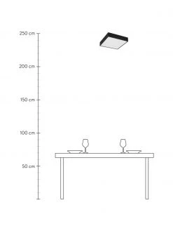 Searchlight Kleine LED Bad-Deckenleuchte Zeus in Schwarz, B 30 x H 6 cm -Leuchten Verkaufsladen Kleine LED Bad Deckenleuchte Zeus in Schwarz 1