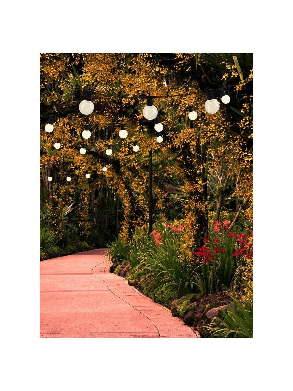 Outdoor LED-Lichterkette Crackle Chain, 750 cm, 10 Lampions, L 750 cm 4 Outdoor LED-Lichterkette Crackle Chain, 750 cm, 10 Lampions, L 750 cm – Bild 2